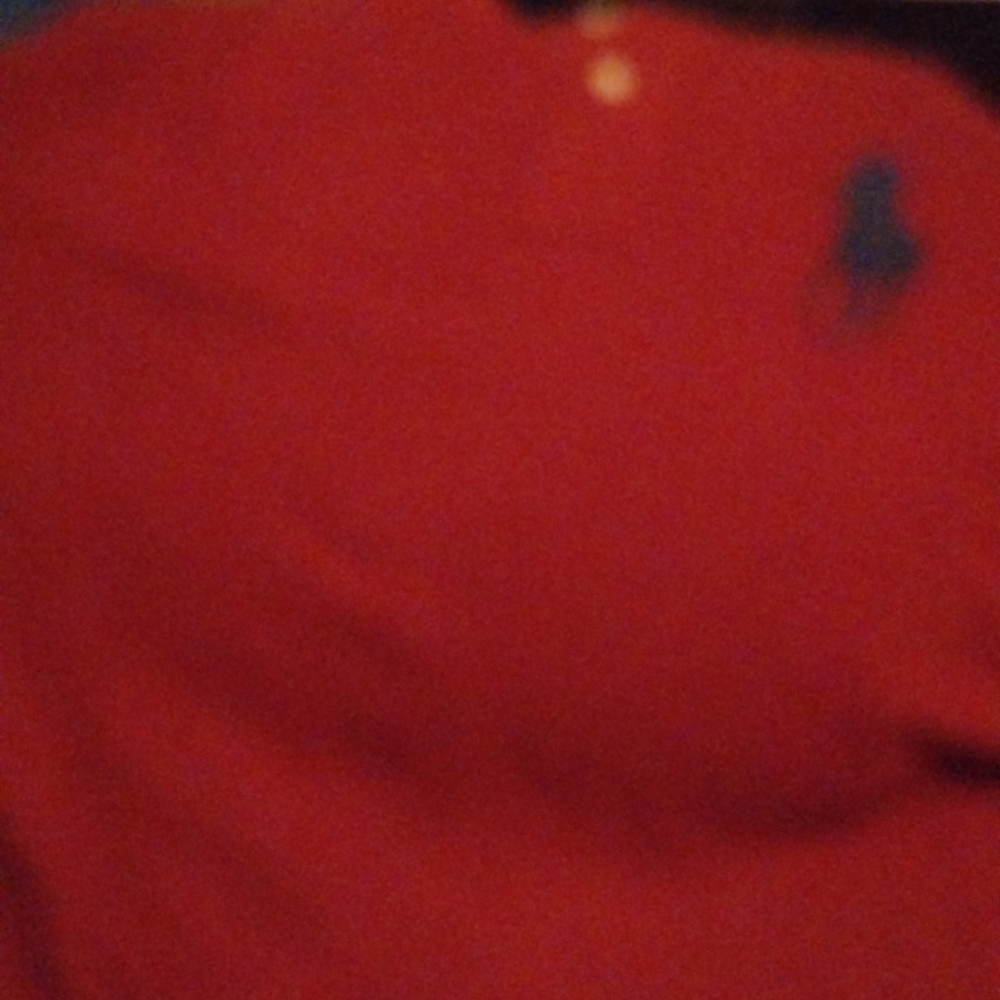 Ralph Lauren Polo Shirt For Men